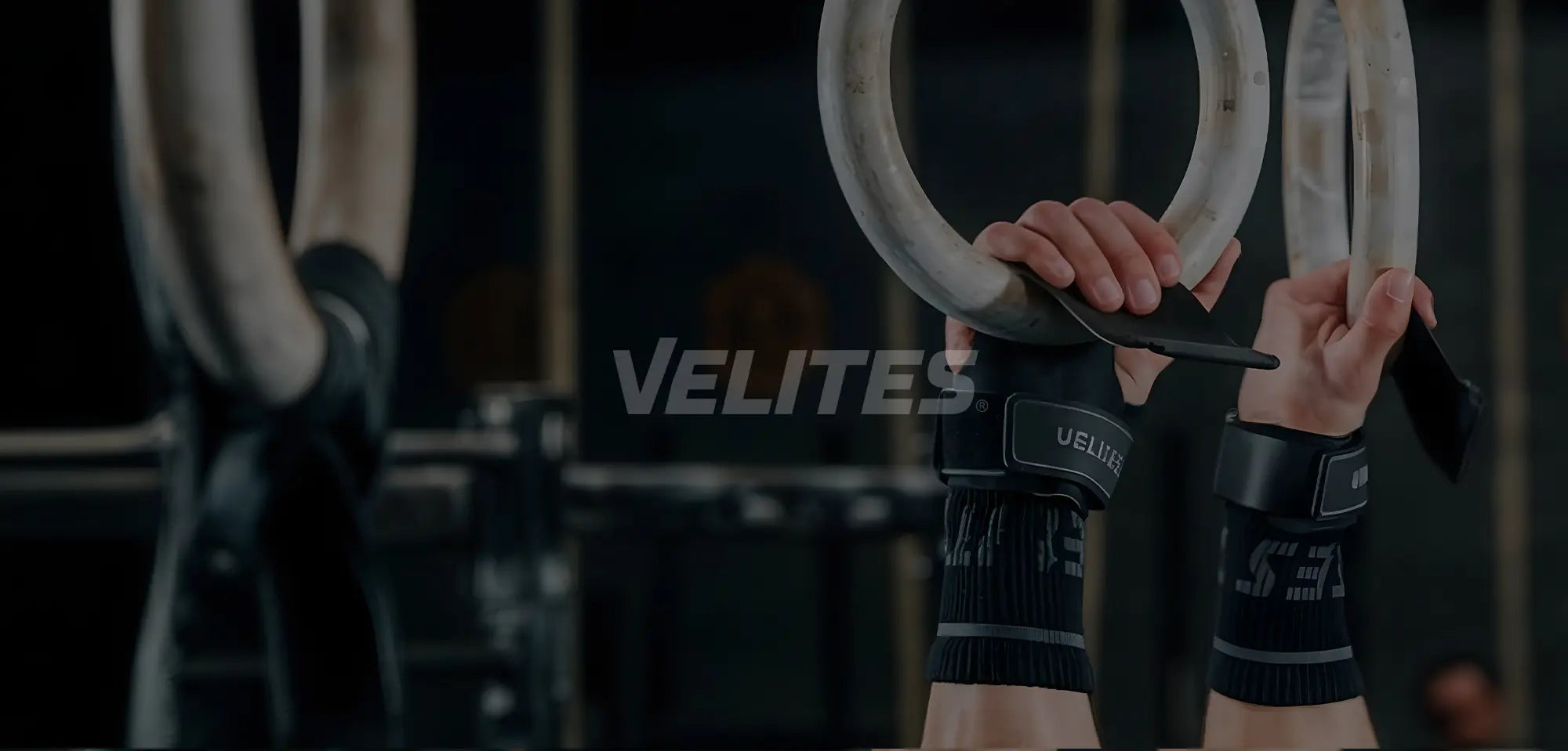 Velites